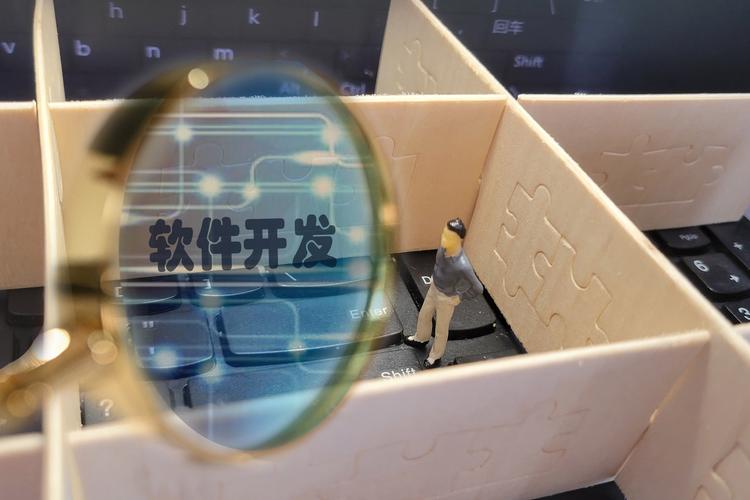 合同未明确软件开发工具谁提供造成损失谁担责?